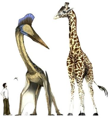  Quetzalcoatlus: Een reptiel met een vleugelspanwijdte die je doet twijfelen aan de wetten van de natuur!